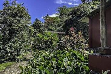 هتل Playa Selva Lodge