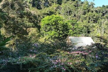 هتل Playa Selva Lodge