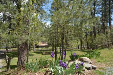 هتل Canyon Cabins