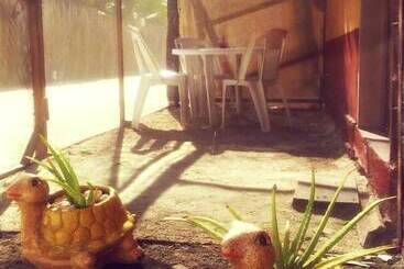 هتل Hacienda La Catrina Holbox