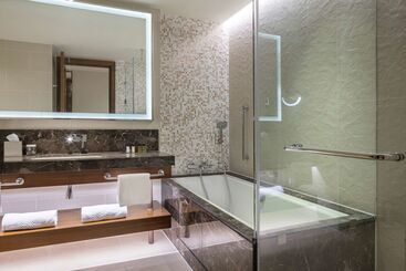 هتل Hilton Batumi
