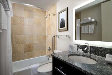 هتل Homewood Suites By Hilton Chicago Downtown/magnificent Mile