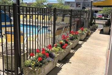 Sea Hawk Motel
