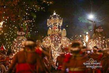 هتل The Grand Kandyan