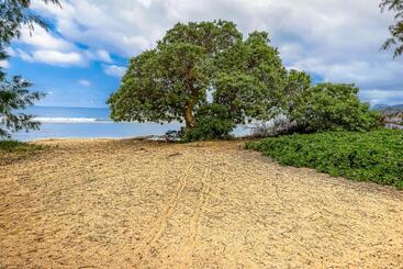 هتل Islander On The Beach 361
