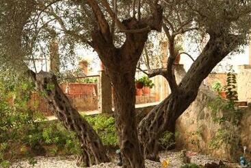 B&b Villa Casablanca