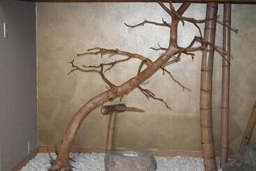 Ryokan Sensyoen