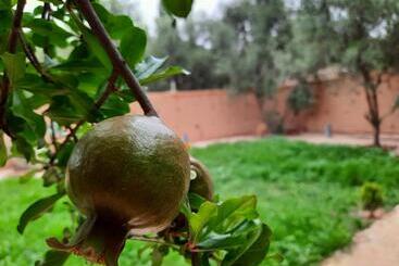 فندق صغير Gite Boukhalfa
