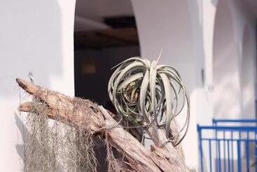 پانسیون Little Mykonos