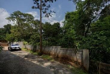 استراحتگاه Avadale Thekkady   Stag Groups Not Allowed