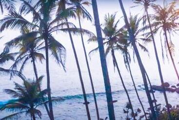 تختخواب و صبحانه Blue Waves Madiha