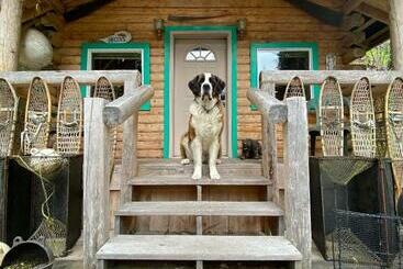 بنسيون Kobuk’s Kabin