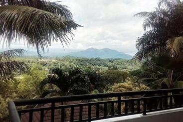 The Oxalis Regency Hotel Magelang