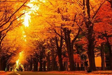 هتل Tokyu Stay Sapporo