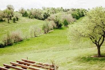هاستل Batten Green