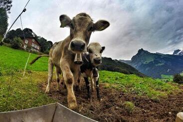 Hostel Engelberg