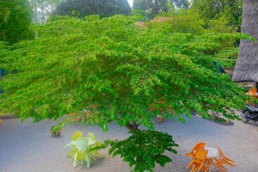 تختخواب و صبحانه Flamingo Hotel Kinyerezi