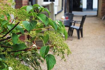هتل Greyfriars Lodge Canterbury