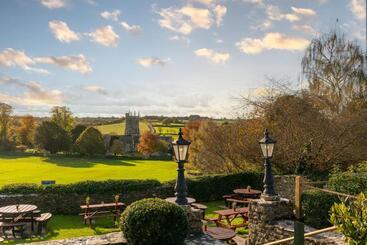 هتل The George Inn & Plaine