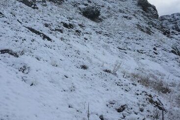 Pensione Posada El Parral