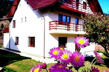 پانسیون Casa Elena