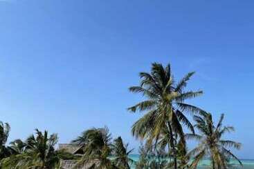 هتل Mambo Boutique Nungwi