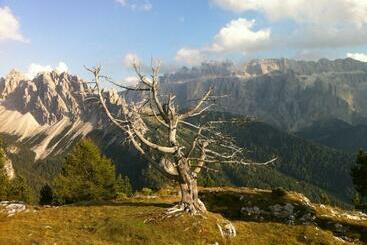 Piz Alpin B&b