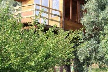 تختخواب و صبحانه The Treehouse Casa Sull Albero Al Golden Camp