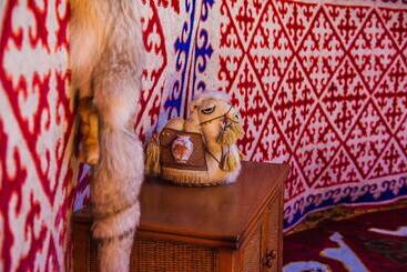 هتل Balqaragai Forest Family Resorts