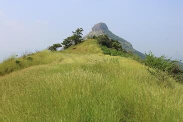 هتل Shinde S Tikona Valley Farm