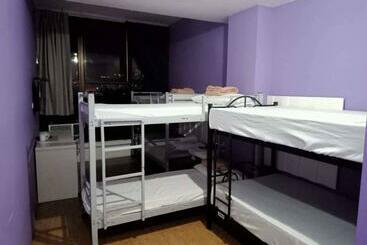 The Purple Tree Hostel