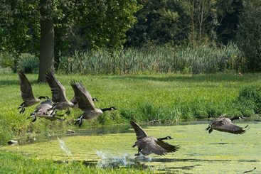 B&b Park7 Wavre   Leuven - Huldenberg