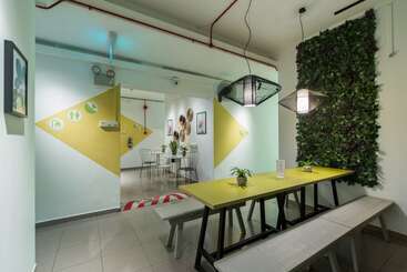 Coziee Lodge   Hostel