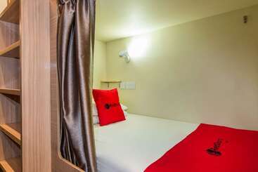 Coziee Lodge   Hostel