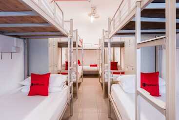 Coziee Lodge   Hostel