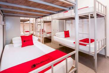 Coziee Lodge   Hostel