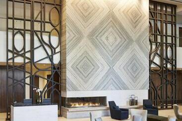 هتل Loews Chicago