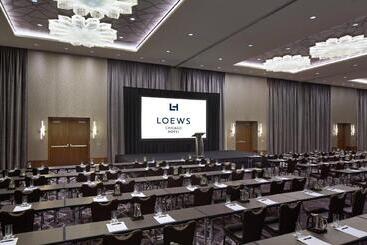 هتل Loews Chicago