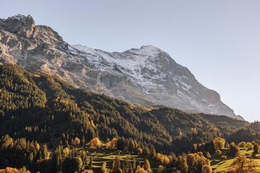 Hotel Fiescherblick