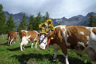 هاستل Pension Berghof
