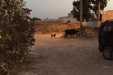 تختخواب و صبحانه Nour Mogador