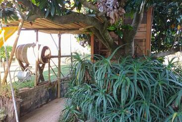 پانسیون Casita Da Floresta