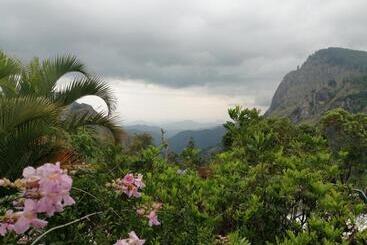 تختخواب و صبحانه Tea Garden Holiday Inn