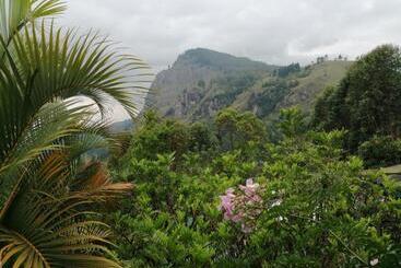 تختخواب و صبحانه Tea Garden Holiday Inn