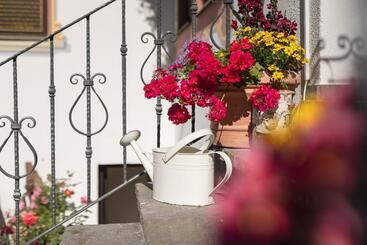 Pension Gulla   Ferienhaus Appartements B&b