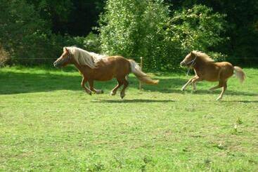 پانسیون La Ferme De Kerhors