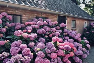 住宿加早餐  Onder De Appelboom
