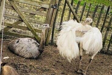 پانسیون Mmghome   Gîte à La Ferme