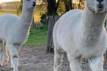 پانسیون Mmghome Gîte à La Ferme