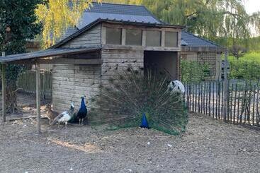 پانسیون Mmghome   Gîte à La Ferme
